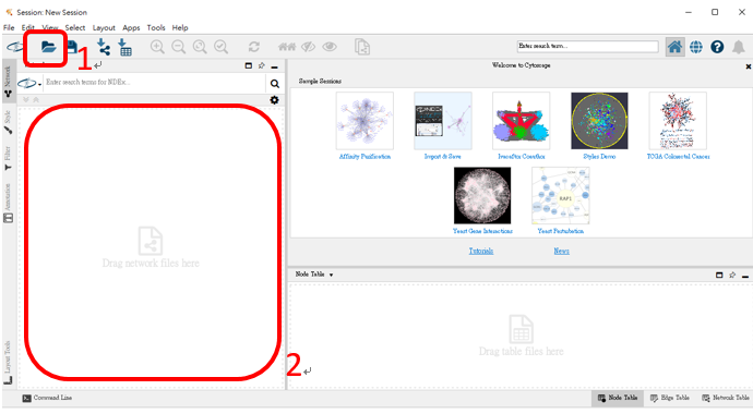 Cytoscape2